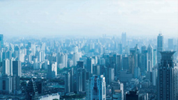 Insurance Insights