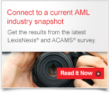 Current Industry Perspectives into Anti-Money Laundering Risk Management and Due Diligence