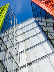 Business Risk Information: Comprehensive Intelligence on Businesses and their Connections