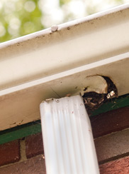 Home Inspection Index Webinar: Closer Look At Inspections