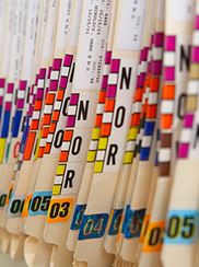 Medical Identity Theft HIMSS Study