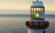 Navigating Risk Related to Bankruptcies Webinar