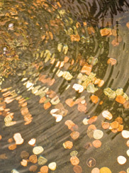 Predictive Analytics: Collect More Cash in Collections