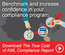 True Cost of AML Compliance Report