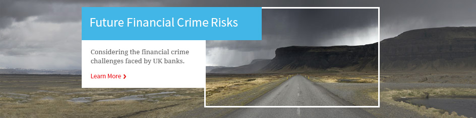 Future Financial Crime Risks